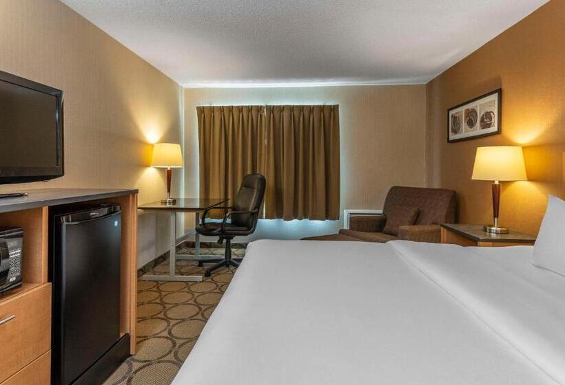 اتاق لوکس با تخت بزرگ, Comfort Inn