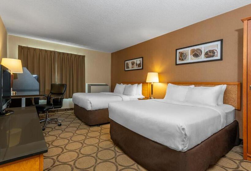 四人标准间, Comfort Inn