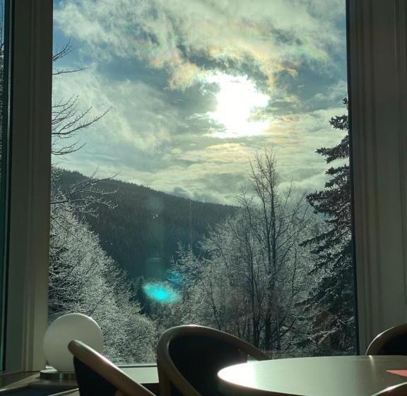 スタンダードシングルルーム, Interhotel Montana