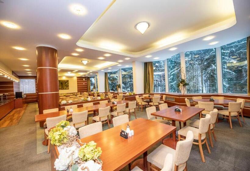 Номер Стандарт Индивидуальный, Interhotel Montana