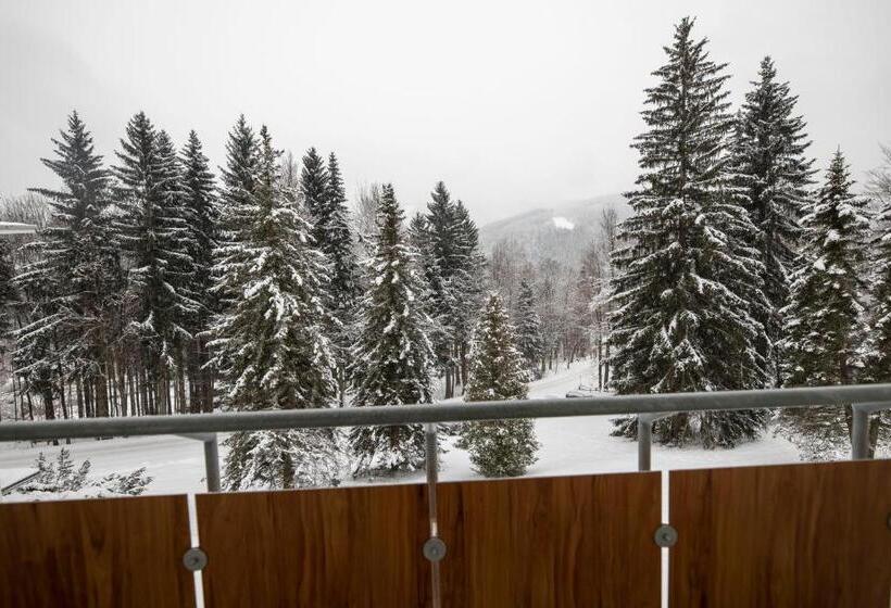 Номер Стандарт с Балконом, Interhotel Montana