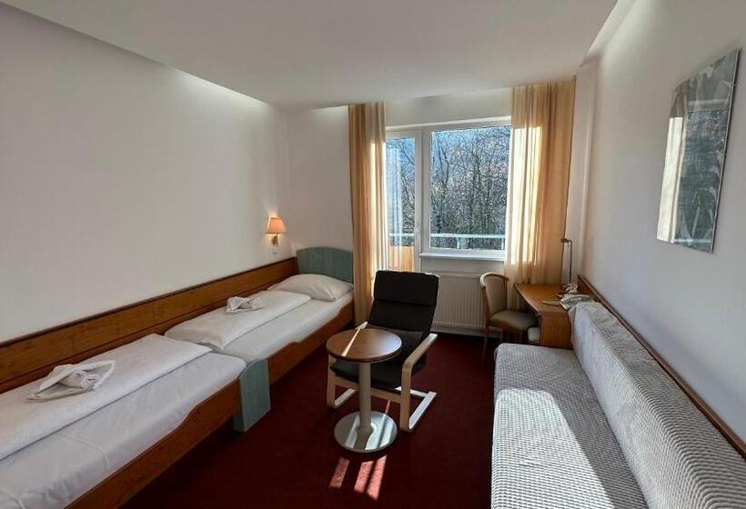 Номер Стандарт с Балконом, Interhotel Montana