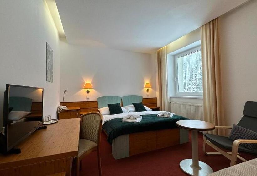 Номер Стандарт, Interhotel Montana