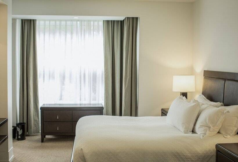 Люкс Повышенной Комфортности, Hôtel Le Bonne Entente
