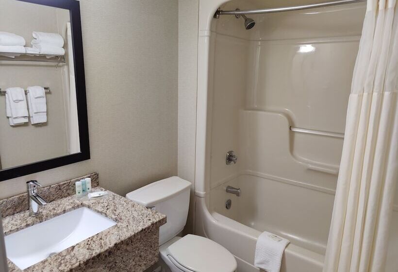 带2个双人床的标准工作室, Quality Inn