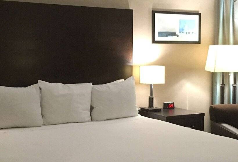 ２ダブルベッドのスタンダードルーム, Radisson Hotel Winnipeg Downtown