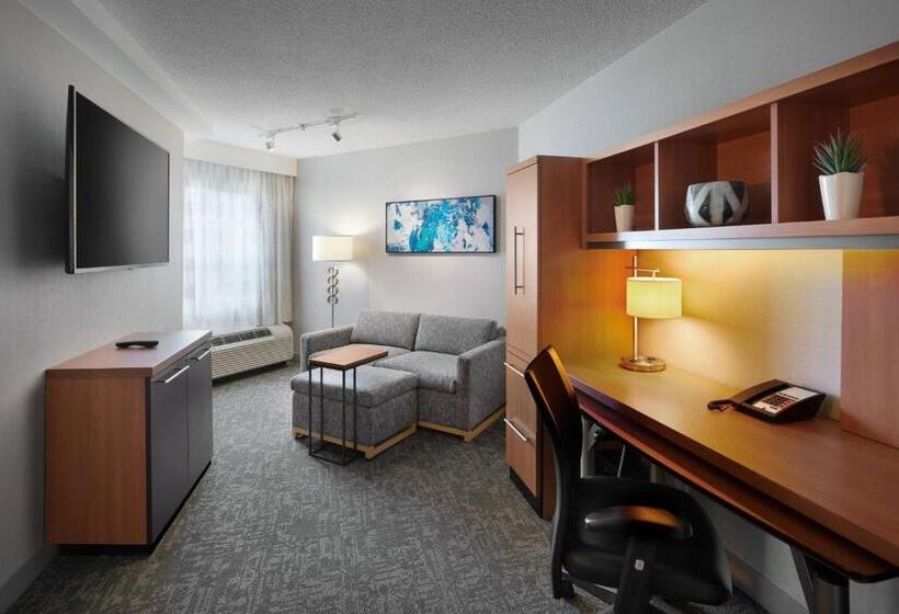 キングサイズベッドのスイートルーム, Towneplace Suites By Marriott Mississaugaairport Corporate Centre