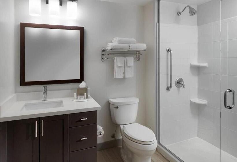Студио Стандарт Кровать Кинг, Towneplace Suites By Marriott Mississaugaairport Corporate Centre