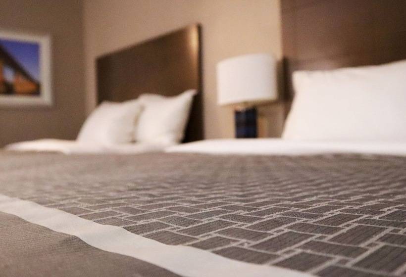 商务房间, Travelodge Hotel By Wyndham Saskatoon
