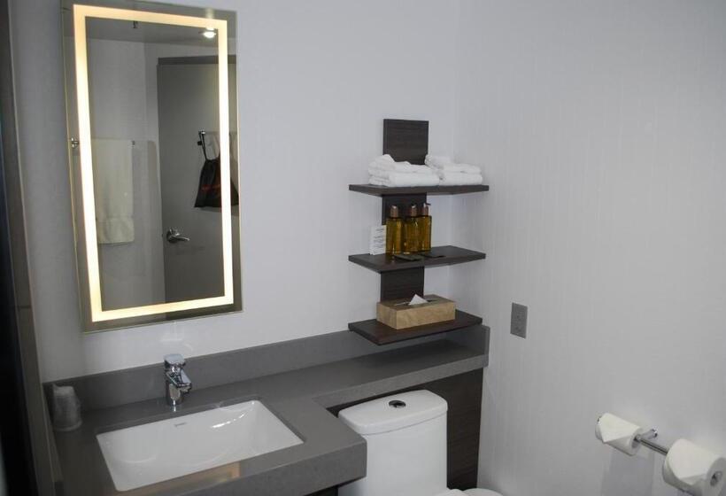 スーペリアールーム, Doubletree By Hilton Ottawa Downtown