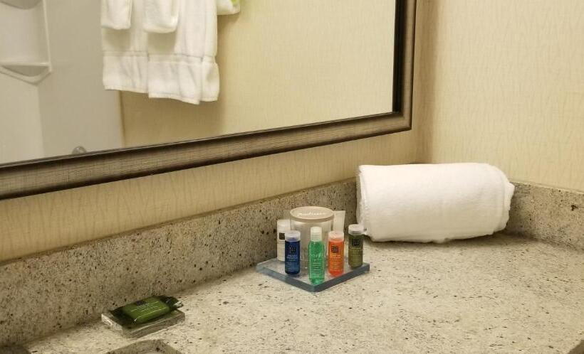 Номер Стандарт, Radisson Hotel Sudbury