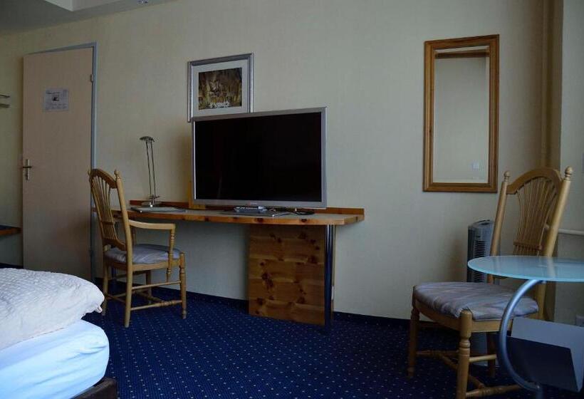 标准单人间, Ambiente Hotel Freieck