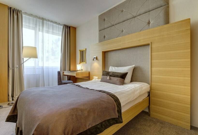 Номер Economy Индивидуальный, Continental Hotel Lausanne