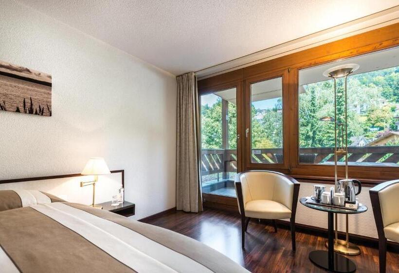 اتاق استاندارد با چشم‌انداز شهر, Seehotel Sternen