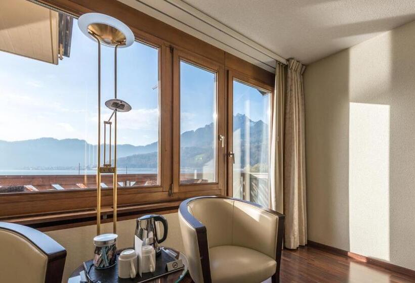 اتاق استاندارد یک نفره, Seehotel Sternen