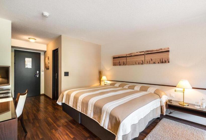 اتاق استاندارد یک تخته با چشم‌انداز شهر, Seehotel Sternen