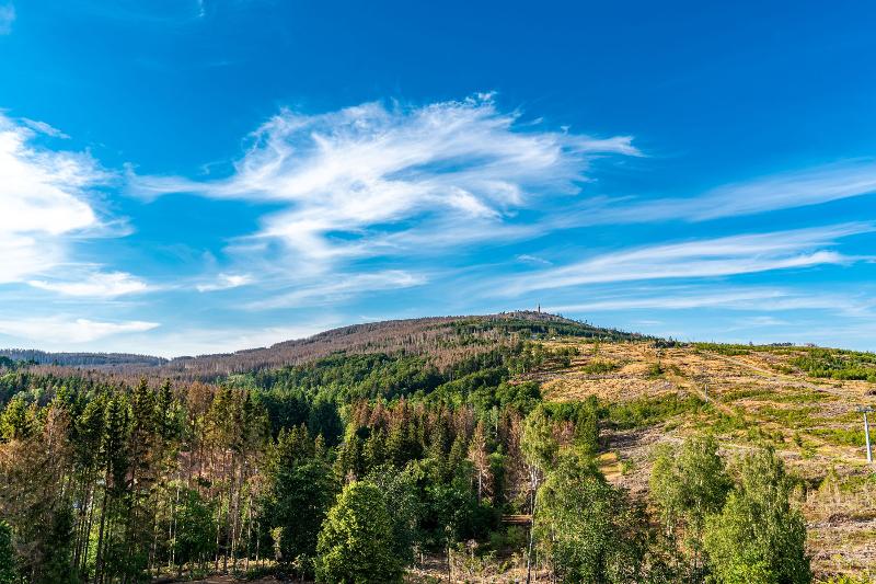 Номер Комфорт, Ahorn Harz Hotel Braunlage