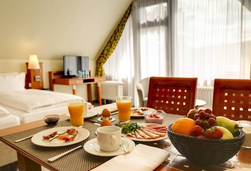 Номер Стандартный с Видом, H+ Hotel Willingen