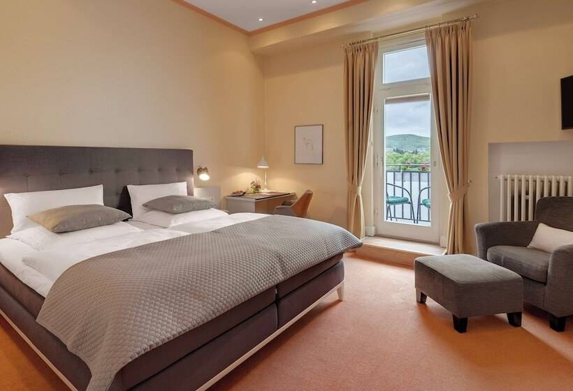 Номер Superior Вид на Реку, Rheinhotel Dreesen