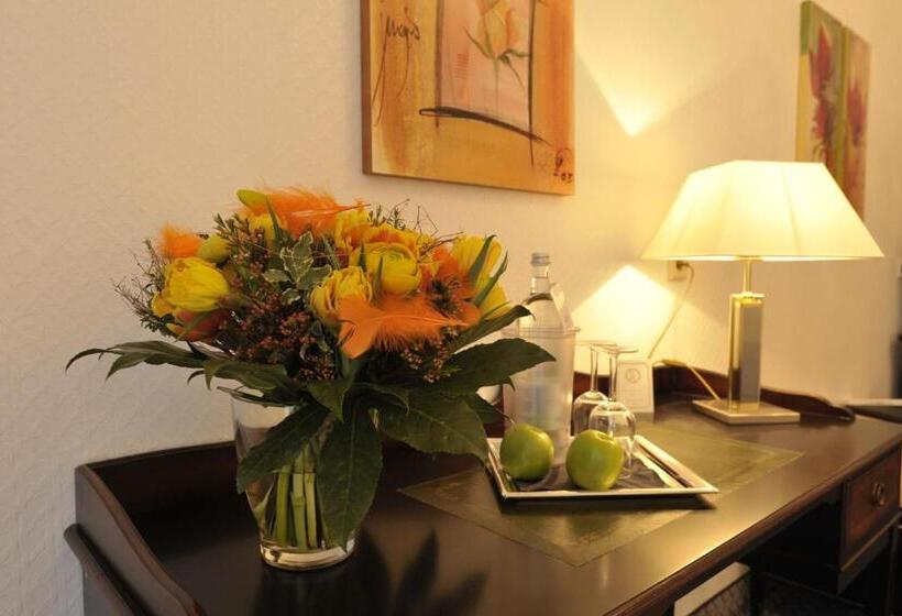 اتاق سوپریور یک تخته, Am Sophienpark