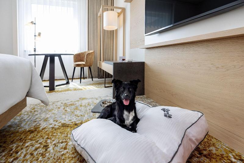 اتاق کلاسیک یک تخته, The Westin Grand Frankfurt