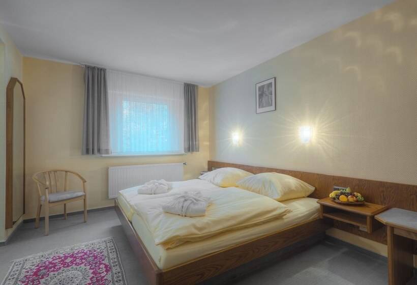 컴포트 싱글 룸, Waldhotel Sonnenberg