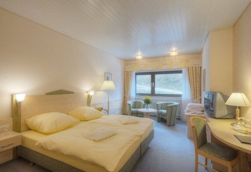 침실 별도 스탠다드 싱글 룸, Waldhotel Sonnenberg