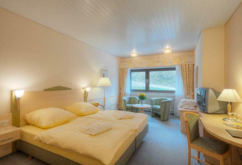 스탠다드 룸, Waldhotel Sonnenberg