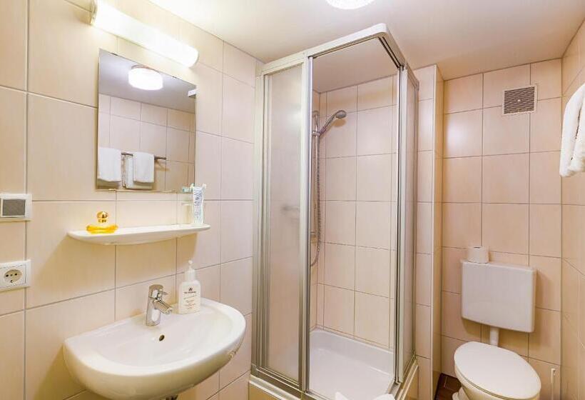 スタンダードトリプルルーム, Alt Bamberg