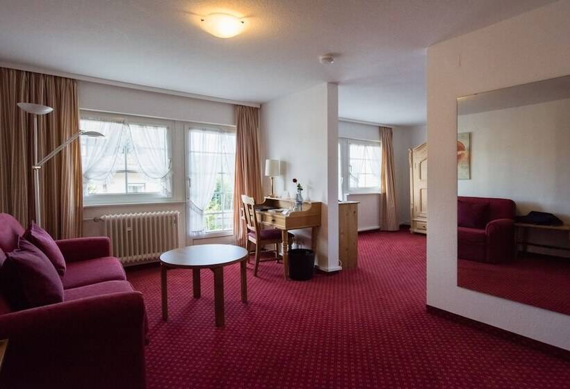 Номер Superior, Schiff Am Schluchsee