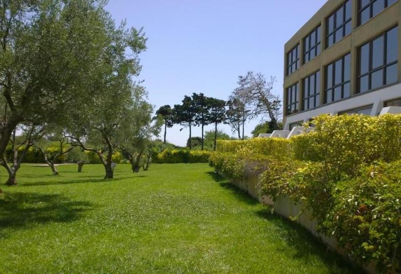 行政家庭房, Alexander Beach Hotel & Spa
