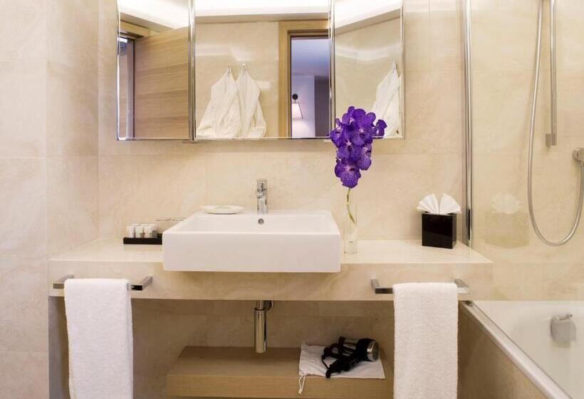 חיבור הדירה עם חדר שינה אחד, Starhotels Metropole