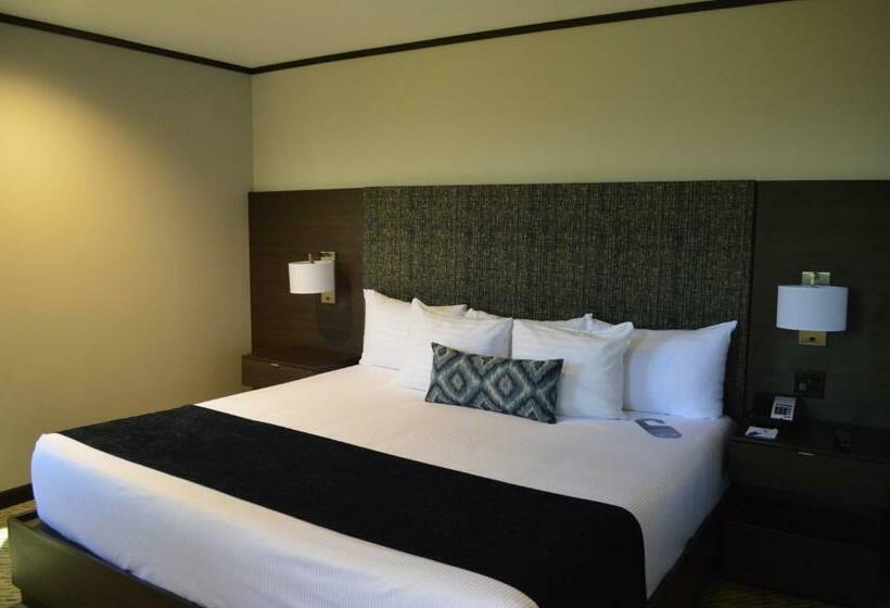 キングサイズベッドのエクゼクティブルーム, Grand Hotel Tijuana