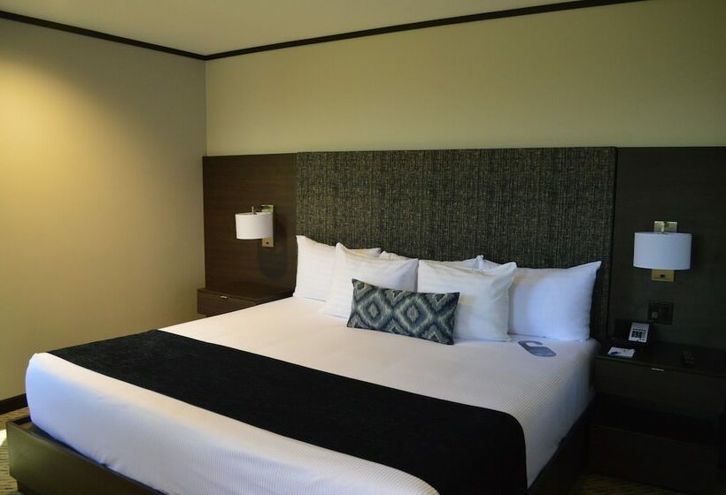 エクゼクティブルーム, Grand Hotel Tijuana