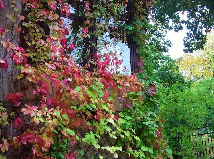 Люкс, Park Hotel Turku