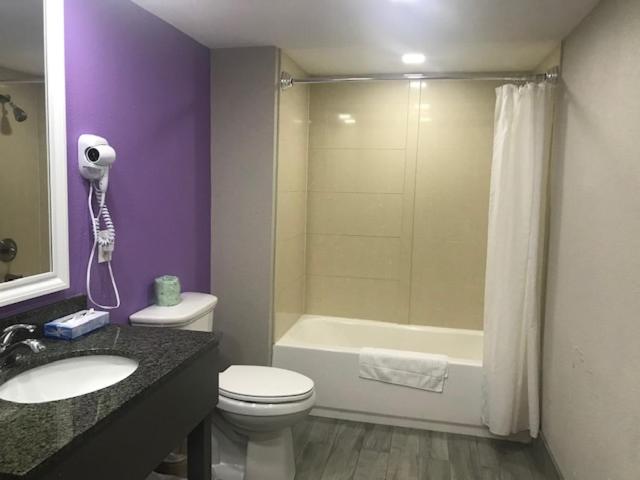 キングサイズベッドのスタンダードルーム, Alamar Resort Inn