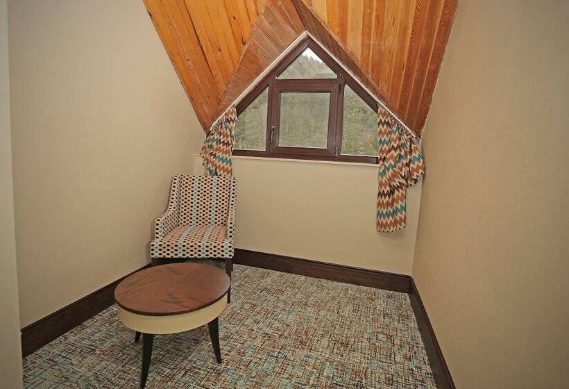 스탠다드 전망 룸, Abant Palace