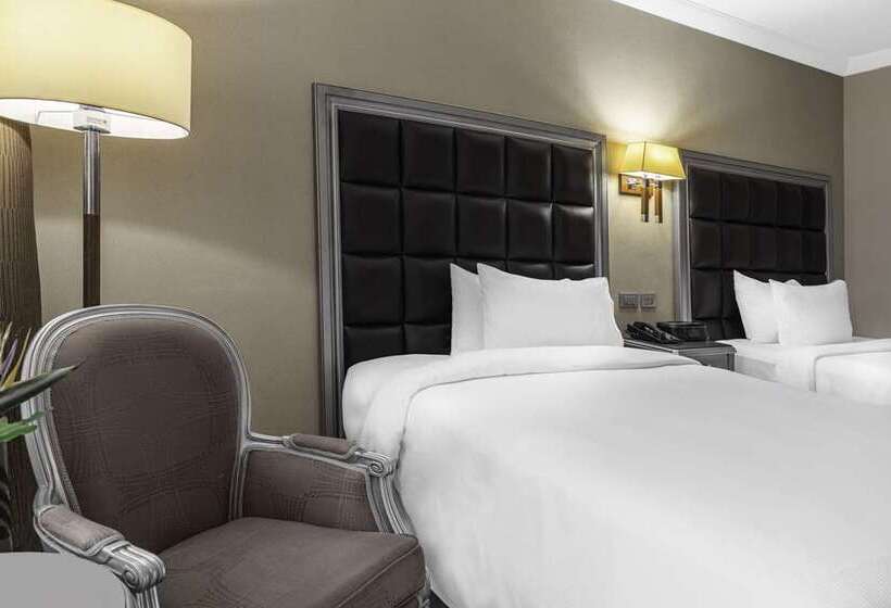اتاق استاندارد, Hilton Alexandria Corniche