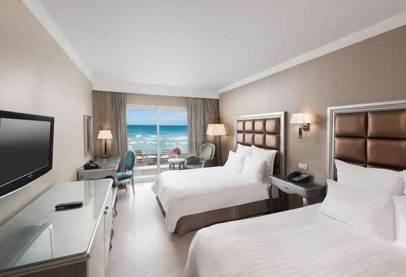 اتاق اجرایی, Hilton Alexandria Corniche