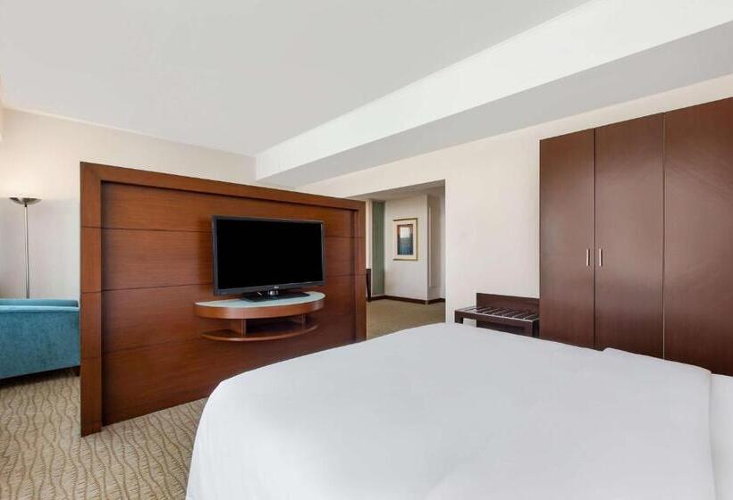 سوییت جونیور با چشم‌انداز شهر, Radisson Blu  Ankara