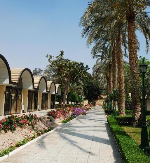 اتاق لوکس با چشم‌انداز باغ, Pyramids Resort by Jaz