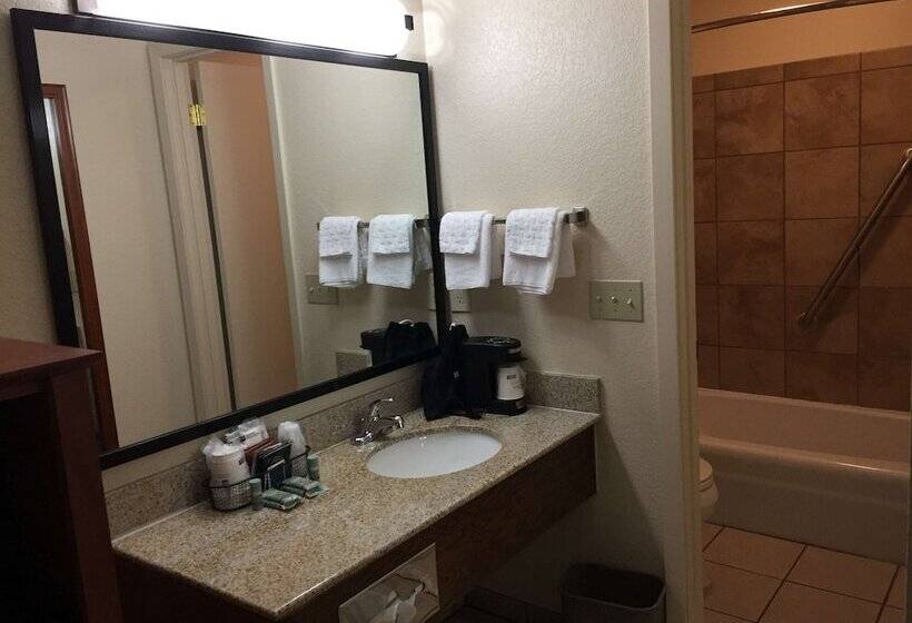 Номер Стандарт 2 Двуспальные Кровати, Best Western Plains Motel
