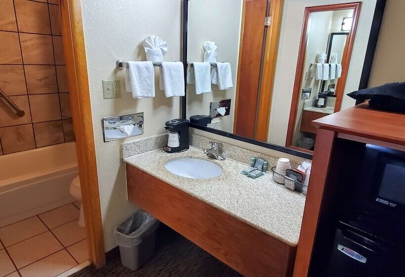 Номер Стандарт 2 Двуспальные Кровати, Best Western Plains Motel