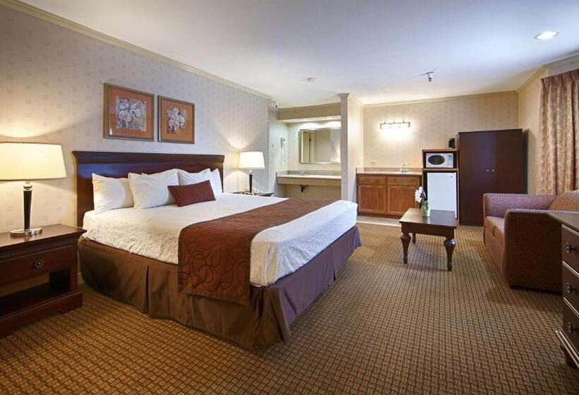 스탠다드 룸 킹사이즈 침대, Best Western Inn Santa Cruz