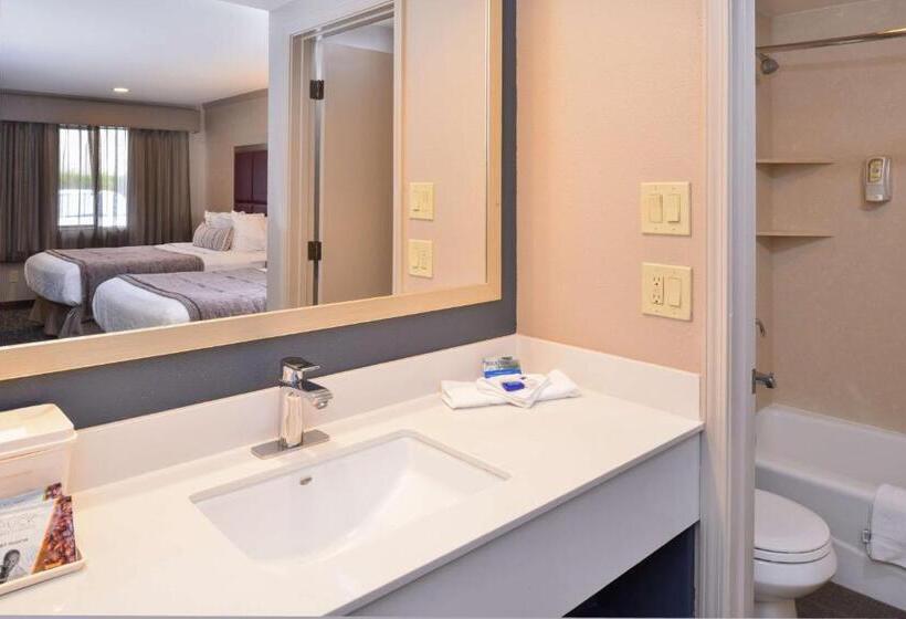 스탠다드 룸 킹사이즈 침대, Best Western Inn Santa Cruz