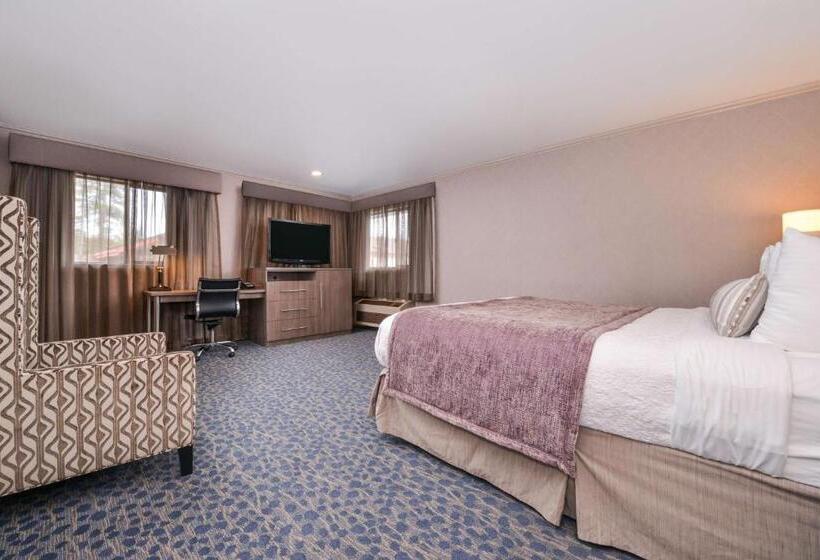 스위트 킹사이즈 침대, Best Western Inn Santa Cruz