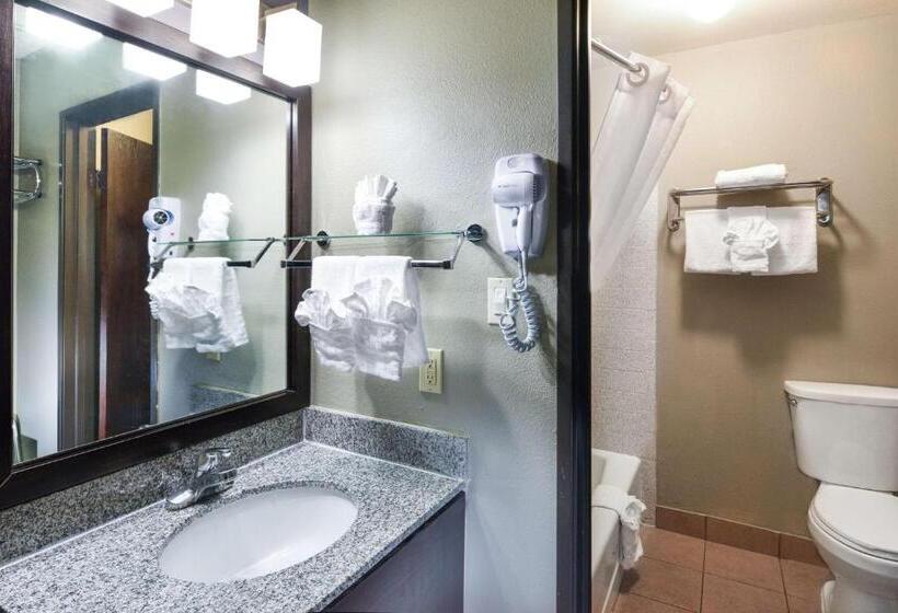اتاق استاندارد با تخت بزرگ, Best Western Mccarran Inn