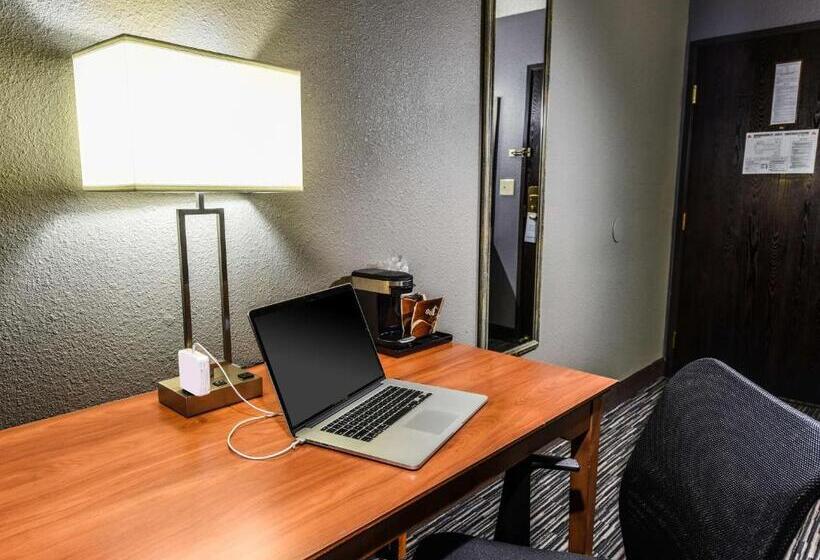 اتاق استاندارد با تخت بزرگ, Best Western Mccarran Inn