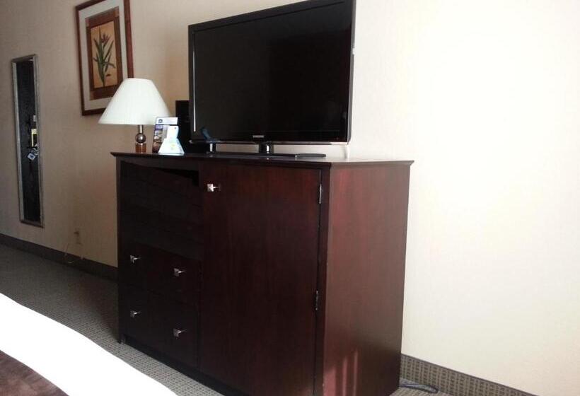 اتاق استاندارد با تخت بزرگ برای معلولان, Best Western Mccarran Inn