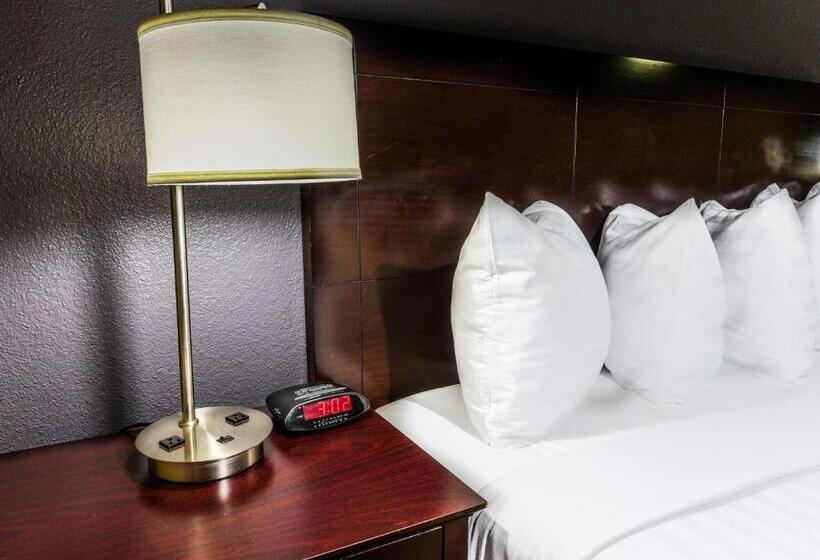 اتاق استاندارد با تخت بزرگ برای معلولان, Best Western Mccarran Inn